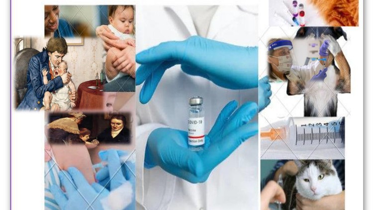 All about vaccine and vaccnation