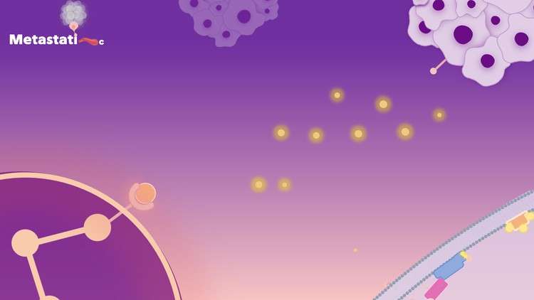 Cancer Signaling Pathways and Targeted Therapy