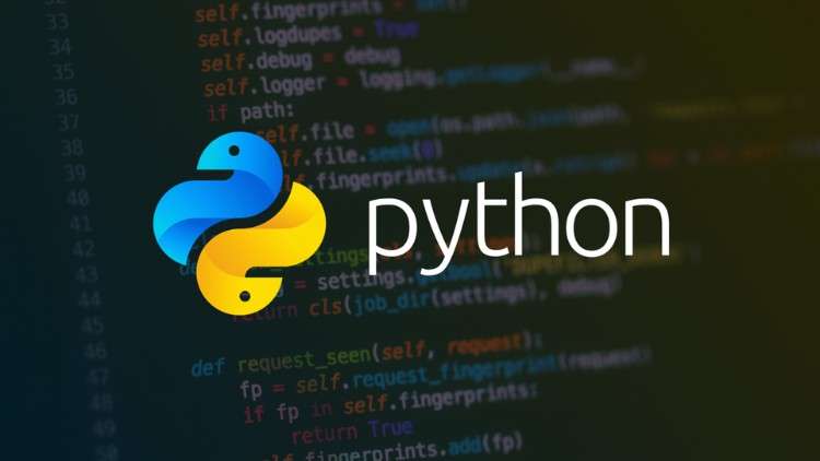 Beginner's Guide to Learn Python Programming Language